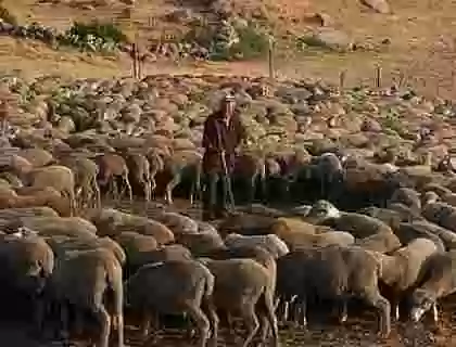 El pastoreo y su contribución a la sostenibilidad ambiental y el desarrollo del mundo rural